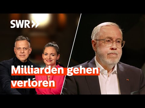 Steuerexperte Eigenthaler: Der Ehrliche ist der Dumme I Zur Sache! intensiv“