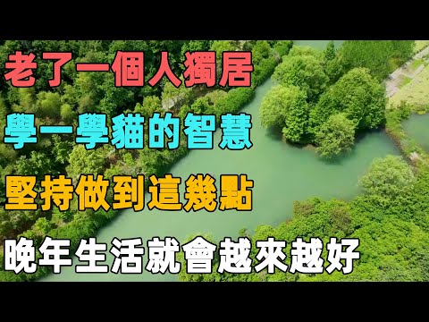 老了一個人獨居,學一學貓的智慧,堅持做到這幾點,晚年生活就會越來越好|聆聽心語