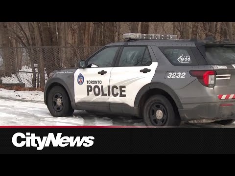 Ontario-wide review of police forces is launched