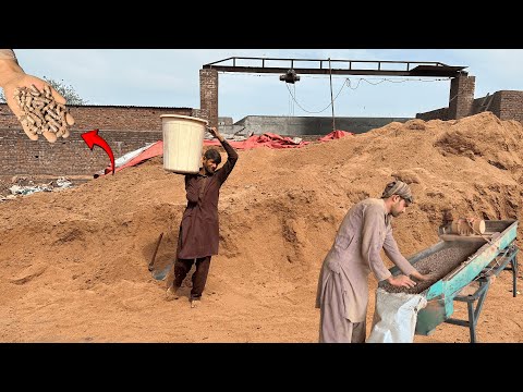 Amazing Recycling Process of Wooden Sawdust to Biomass Pellets in Woodworking Factory