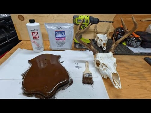 DIY European Mount: Boiling, Bleaching, Mounting