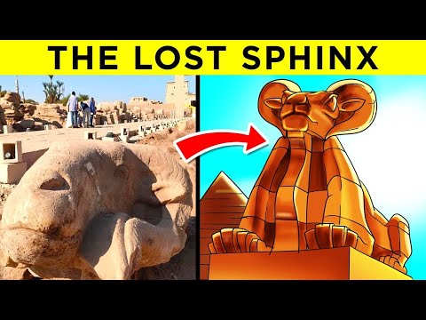 Incredible Recent Discoveries