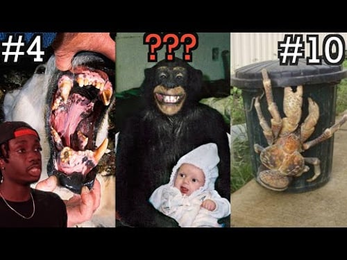 10 Most Disturbing Ways Animals Can Hunt You