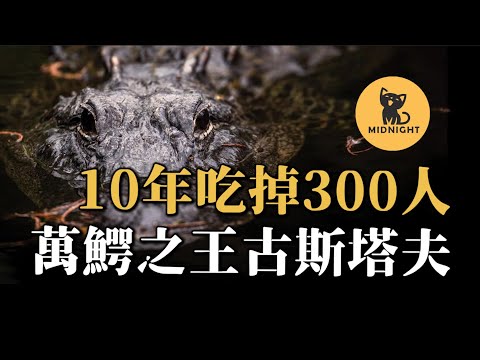 非洲恐怖食人獸傳説,10年吃掉一個村子,萬鰐之王古斯塔夫