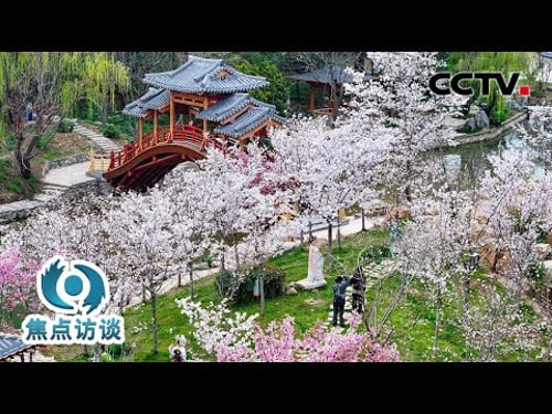 呼朋唤友挖笋子、油菜田里吃火锅……春季文旅翻花样,哪个才是你最爱?| CCTV「焦点访谈」20260330