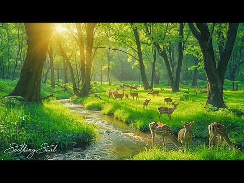 Gentle music, calms the nervous system and pleases soul- Healing music for heart & blood vessels #44