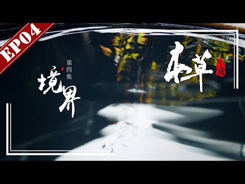 【FULL】《本草中国第一季》第4集:境界 -“The Tale Of Chinese Medicine”S1 EP4:realm【官方高清HD】