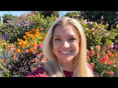 It's PEAK Season at Annie's Annuals! π»πΈπͺ»Display Garden Tour, Chat with R&D and Plant Shopping!