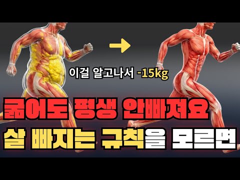 굶어도 살이 안 빠지는 진짜 이유, 이 '규칙'만 알면 배부르게 먹어도 빠집니다