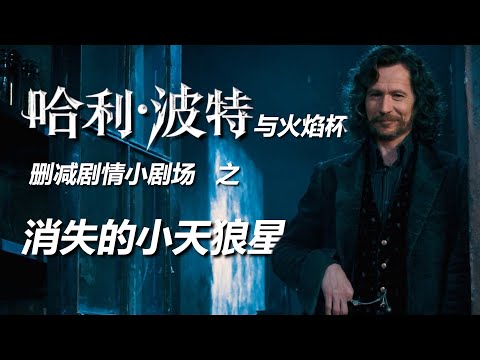 【HP小剧场】《哈利波特與火焰杯》電影中刪掉的小天狼星——傷風、雞腿和十六封信