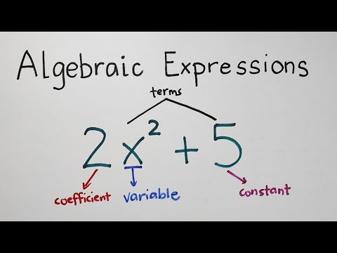 Algebraic Expression - Terms, Variables, Degree of Polynomials - Grade 7 Math Second Quarter