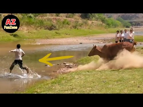 Funniest Fails & Viral Memes Of The Year 😂🤣 Try Not To Laugh Challenge #4