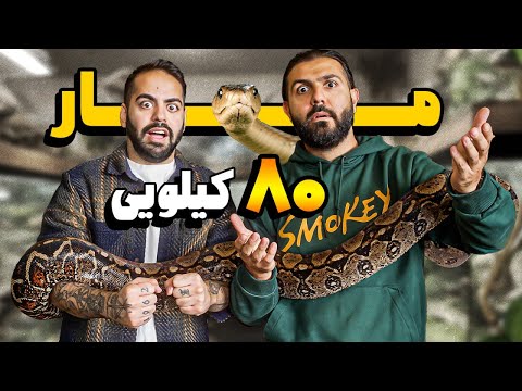 با بزرگترین مار دنیا بازی کردیم!!!