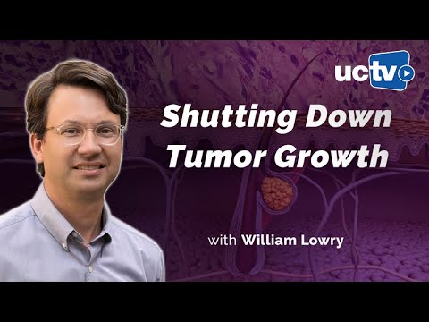 Metabolism and Cancer: A Complex Interplay