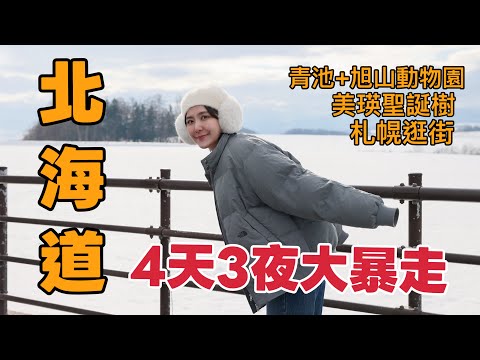 【北海道自由行】最強4天3夜行程❄️ 青池、美瑛聖誕樹、企鵝散步一次滿足!