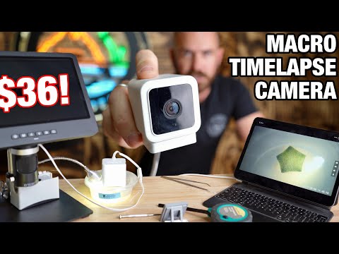 Creating the Worlds Cheapest Macro Timelapse Camera