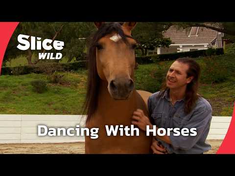 Unleashing Harmony: The Man Who Dances With Horses | SLICE WILD | FULL DOC