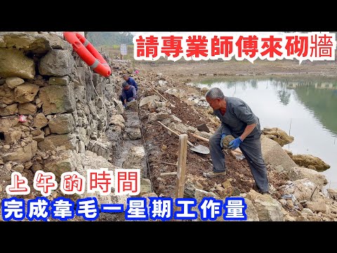 請專業師傅來砌牆,砂漿用推車攪拌,一車一下子全部倒完,上午的時間就完成了韋毛一個星期的工作量