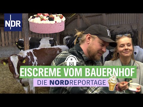 Milch mal anders - auf liebevoll nordfriesische Art | Die Nordreportage vom 30.09.25 | NDR