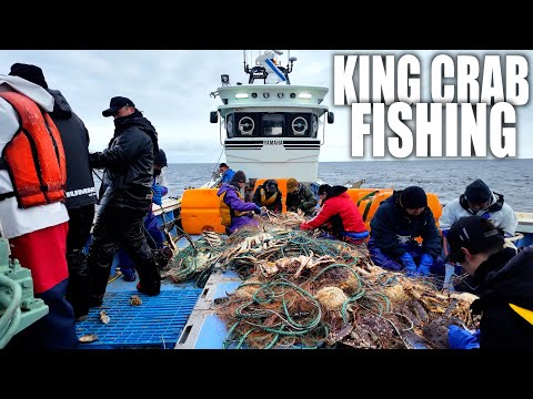 Japanese king crab fishing
