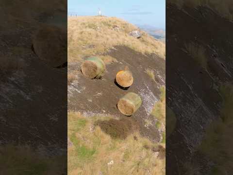 Farmer Olympics 😂