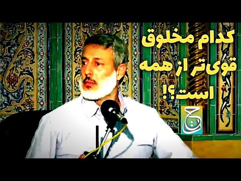 کدام مخلوق قویتر از همه است؟! | شیخ محمد صالح پردل