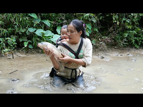 Single mother catches many carp in abandoned pond - takes baby to get new haircut