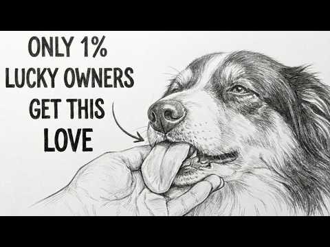 Dog Psychology | 10 Rare Behaviors Dogs Show ONLY When They Love You Deeply