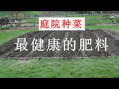 庭院种菜,什么肥料最卫生最健康?推荐一个几近完美的肥料搭配
