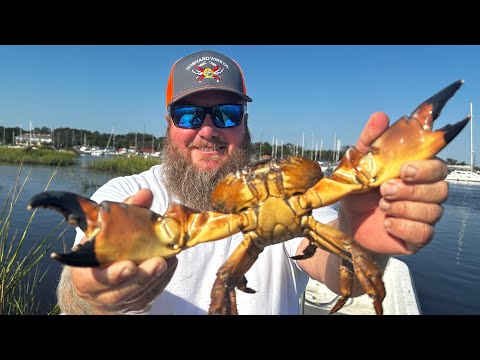 Half our TRAPS are Missing! STONE CRAB Season Opener! {Catch Clean Cook}