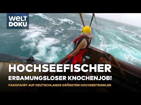 HOCHSEEFISCHER: Fangfahrt auf Deutschlands größten Trawler Maartje Theadora | WELT DOKU (reupload)