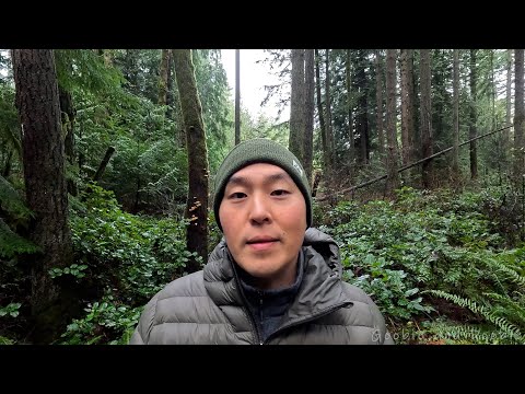 Hierarchy Creates Disease In The Individual, Family, Society, And The Planet