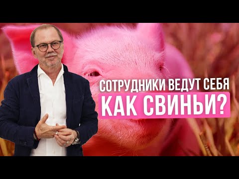 Почему сотрудники не ценят то, что дает им компания? Как нужно работать, чтобы получить преференцию?