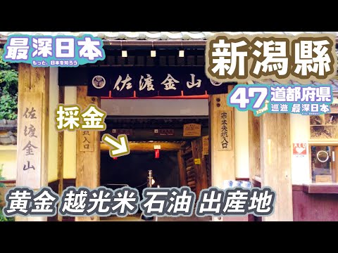 【最深日本】新潟特輯 佐渡金銀出產過千噸 | 越光米克服疾病和災害之甘味 | Snow Peak發揚燕三条400年質素 | 越後湯澤10萬日元別墅如何復活【47道都府縣巡遊】