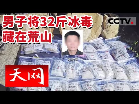 《天网》嫌疑人情绪激动 供出幕后大毒贩 警方在荒山搜出16余公斤冰毒 20230905 | CCTV社会与法