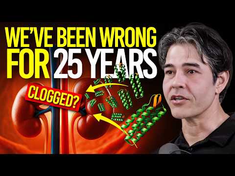 Kidney Scientist Reveals How High Protein Affects the Human Body (kidneys & other organs)