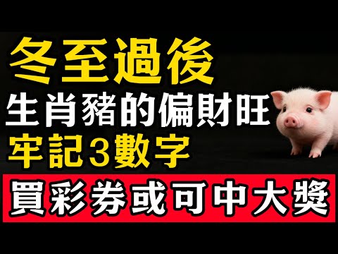 生肖豬註意,冬至過後,你偏財旺,要牢記3個旺財數字,買彩券或可中大獎!#張天師道法#屬相運勢#生肖#家運#生肖運勢的那些事#先知#風水變化#提升運勢