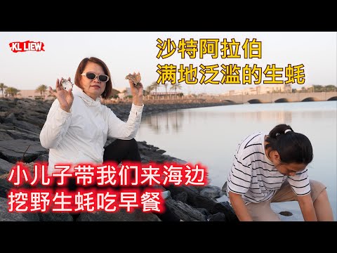 沙特阿拉伯 - 小儿子带我们来海边挖野生蚝吃早餐,边挖边吃,满地泛滥的生蚝.