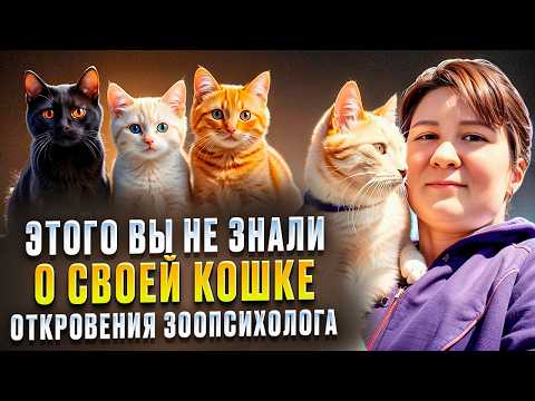 ТОП-30 неизвестных мифов владельцев о домашних кошках