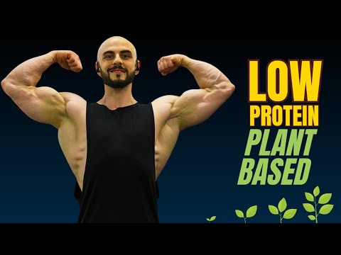 Alex Leonidas Reveals His IDEAL Diet Plan (The Results Will SHOCK You!)