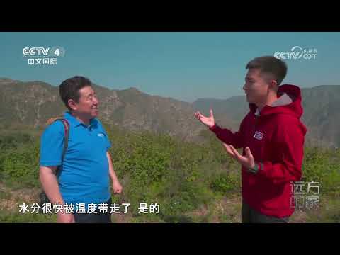 《远方的家》 20231205 山河锦绣看中国 草原青城 美丽家园|CCTV中文国际