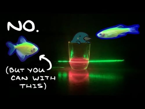 Can You Make a Quantum Computer out of Olive Oil?