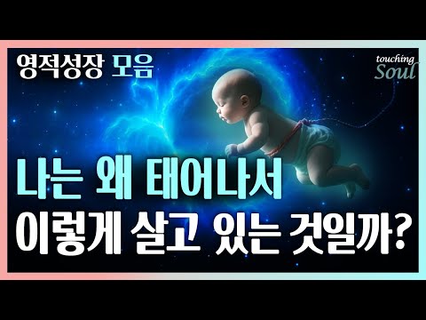 믿기 힘들지만 모든 걸 내가 계획했다 | 이 지구에 인간으로 태어난 이유 | 영혼성장모음 | 중간광고없음