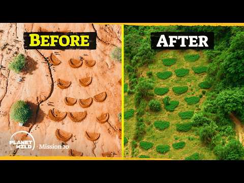 A genius way to restore dead soil