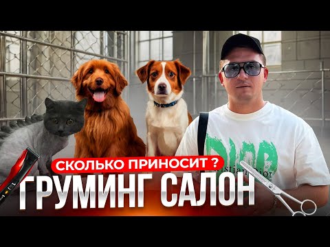 Груминг салон. Бизнес на стрижке собак. Грумер