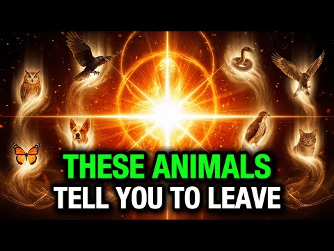 7 Animals That Show Up When God Wants You to Leave a Place or Person