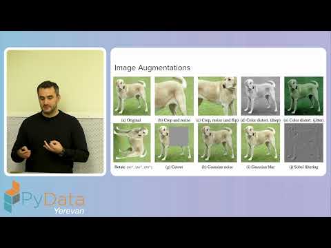 Vahan Huroyan - Recent Developments in Self-Supervised Learning for Computer Vision