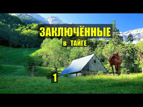 ОДИН в ТАЙГЕ ЗАКЛЮЧЁННЫЙ ДОМ в ЛЕСУ БРОДЯГИ ТАЙГИ 2 ИСТОРИИ из ЖИЗНИ АУДИОКНИГА СЕРИАЛ 1