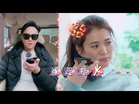 袁咏仪脾气有多火爆,杨坤陈建斌被吓到失声,只有张智霖互怼不停(袁詠儀張智霖)【巨星云志】