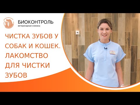 🪥 Чистка зубов у собак и кошек, как выбрать лакомства для чистки зубов? Лакомства для чистки зубов.